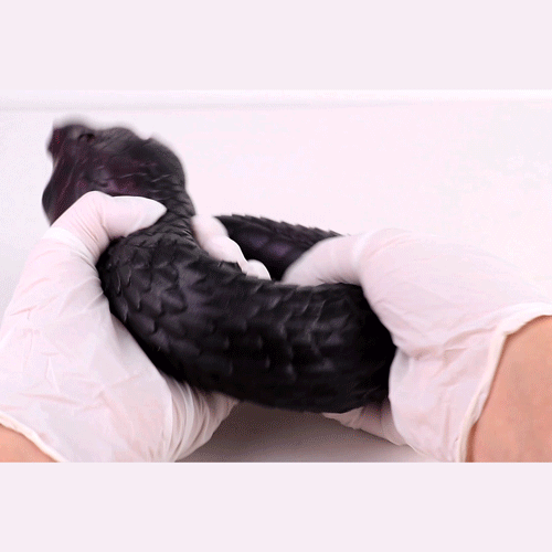 FAAK Serpent Pocket Pussy Men Masturbating Fantasy Black Animal Male Sex Doll