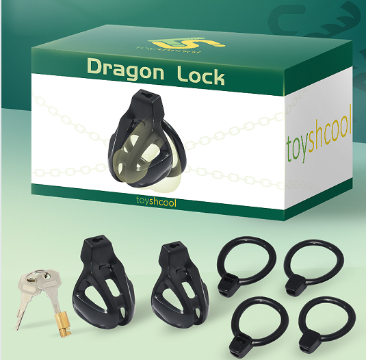 Dragon lock Men's Chastity lock Male Penis Cage with 4 rings