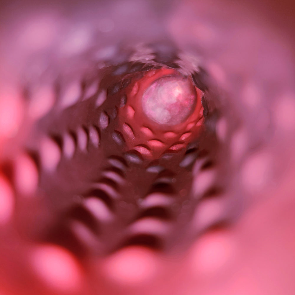 FAAK 6261 Horsedildo Penis Sleeve Cock Ring With Vibrating remote control