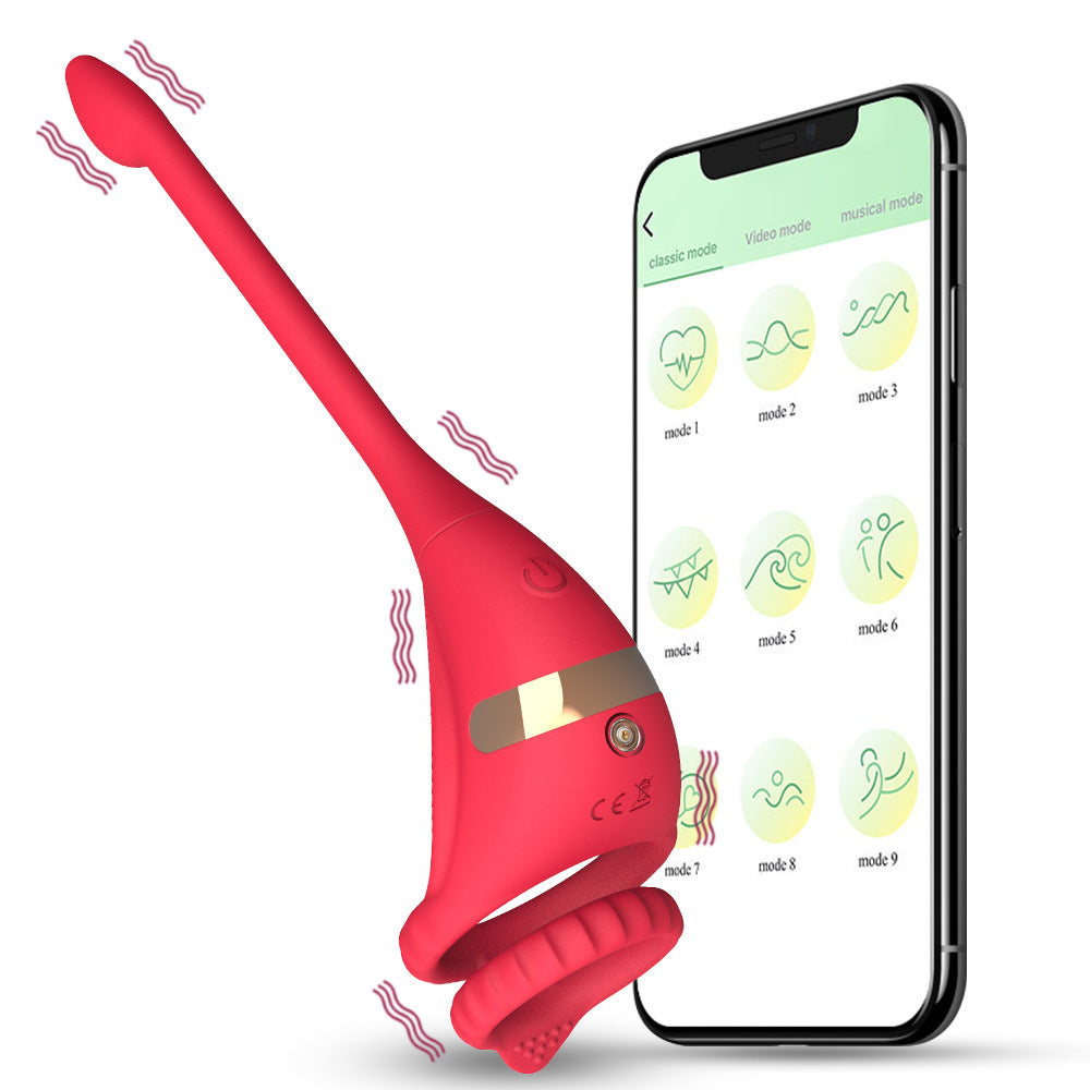 Dragon Rider APP-Controlled Male Double Cock Ring Anal Plug