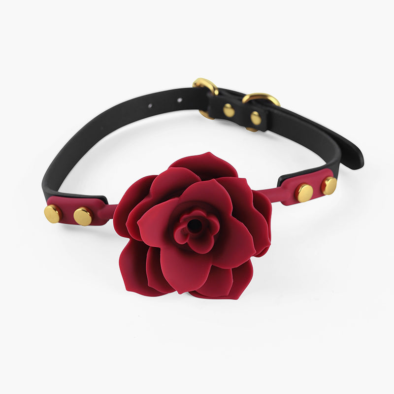 MIAOMISS Ball Gag Training System Set