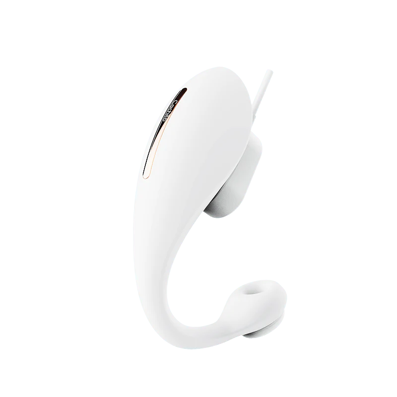 CACHITO Roaming Pro Panty Vibrator APP control