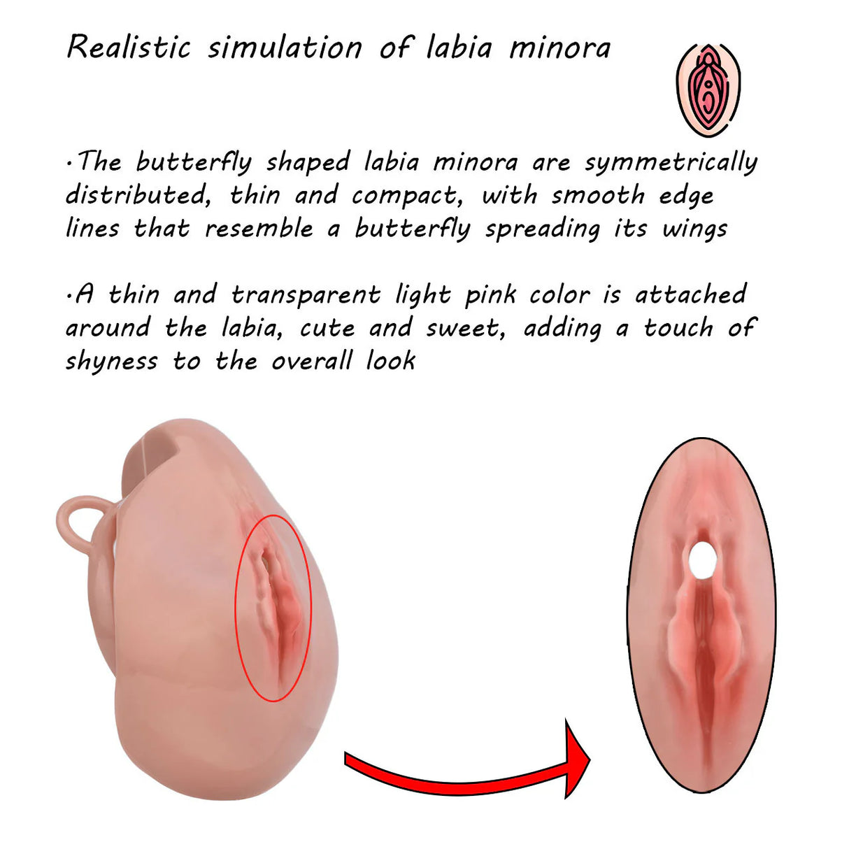 FRRK Sissy Pussy Chastity Cage With Wearable Butt Plug