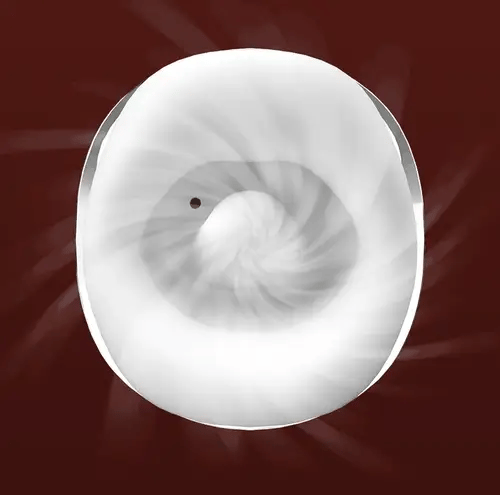 2025 update Mesanel CoCo Clitoral Vibrator APP Control