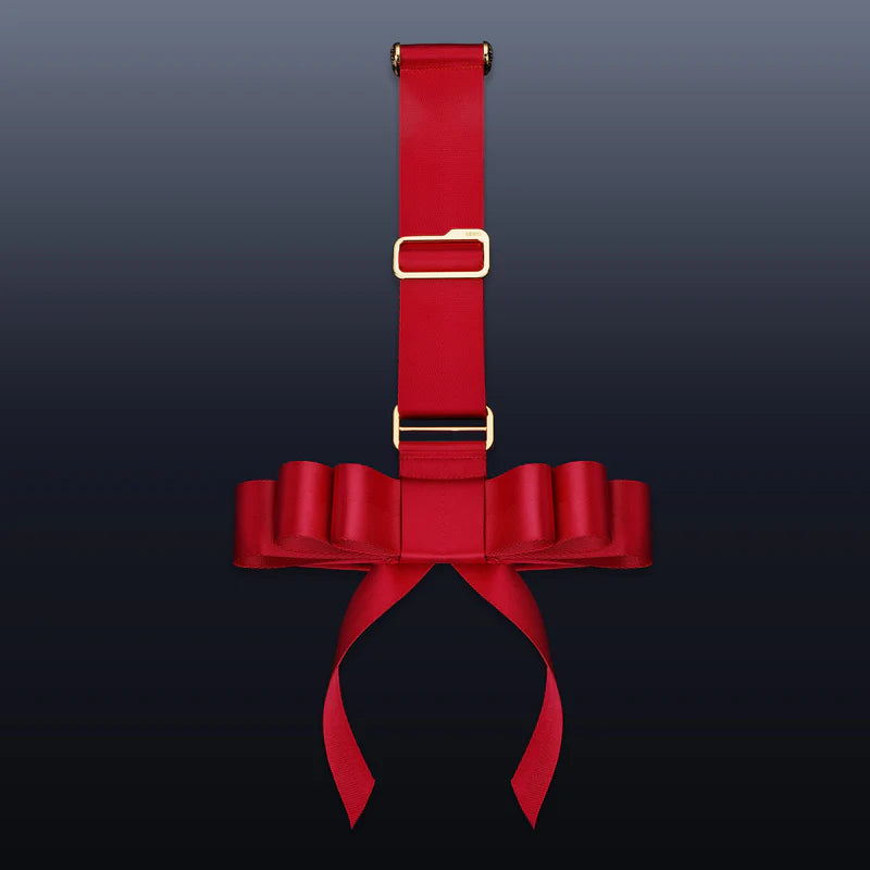 Portable Bowknot Over-the-door Hand Restraint Gear