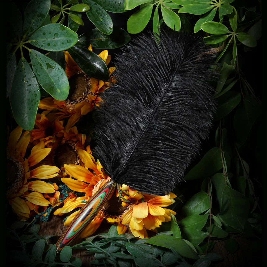 Roomfun Luxury Colour Wood Ostrich Feather Tickler