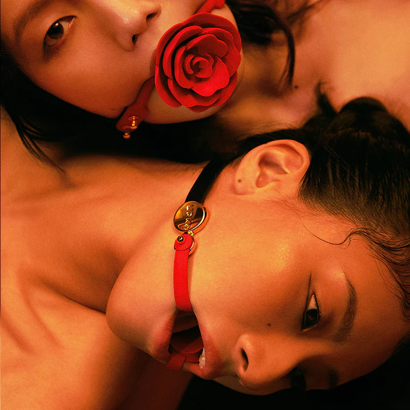 UPKO Invisible Mouth Gag