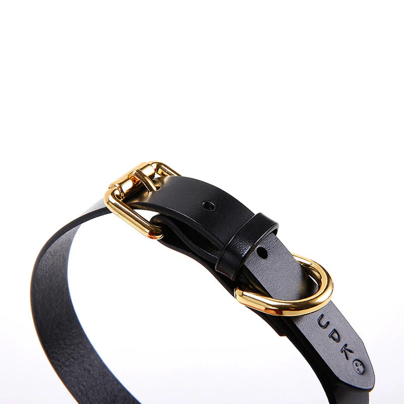 UPKO Leather Cosplay Choker and Leash