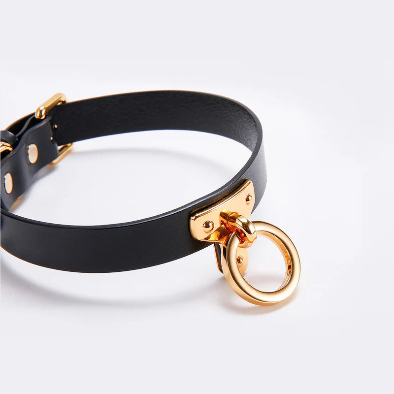 UPKO Leather Cosplay Choker and Leash