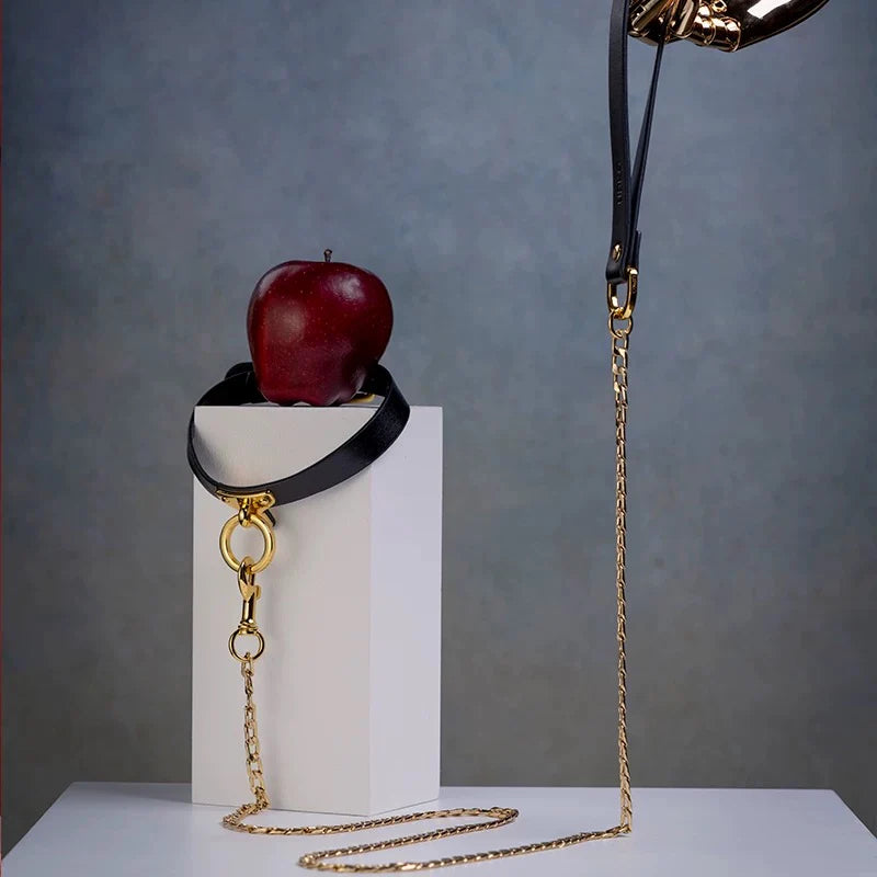 UPKO Leather Cosplay Choker and Leash