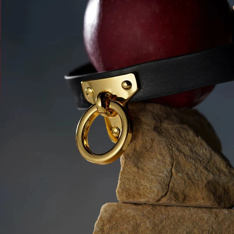 UPKO Leather Cosplay Choker and Leash