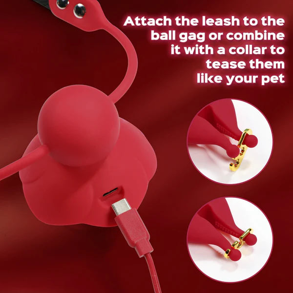 Rose Ball Gag with Leash & Vibrating Nipple Clamps