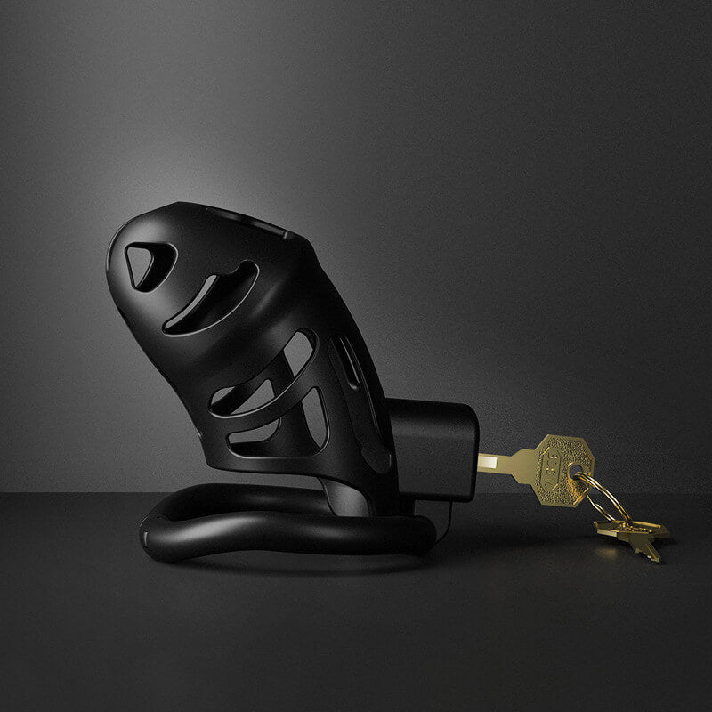 Sevanda BDSM male Male chastity cock cage