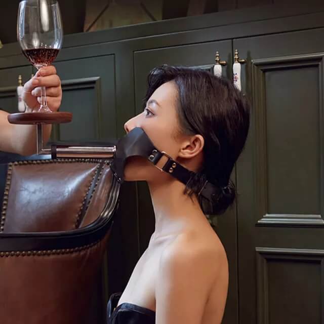 Sevanda Objectification BDSM Sets