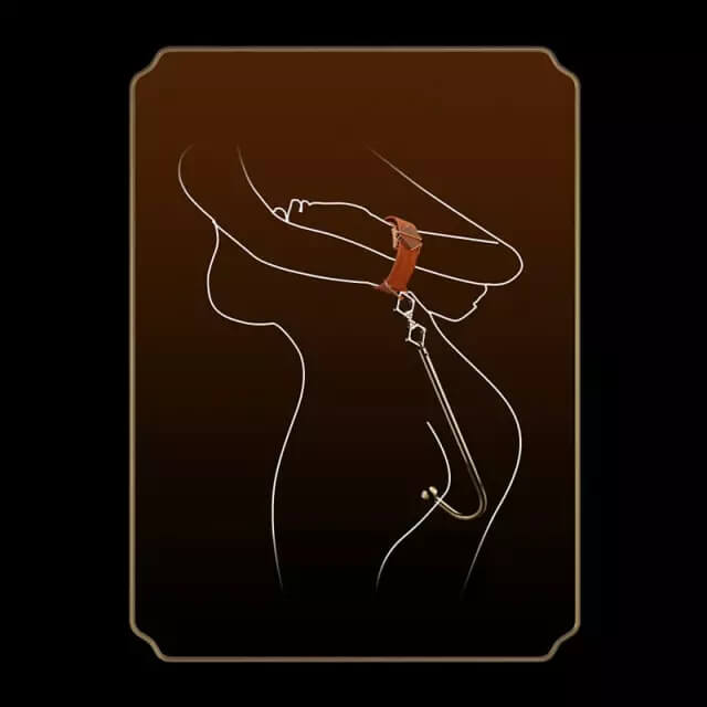 Lockink Halfmoon Anal Hook With Connector