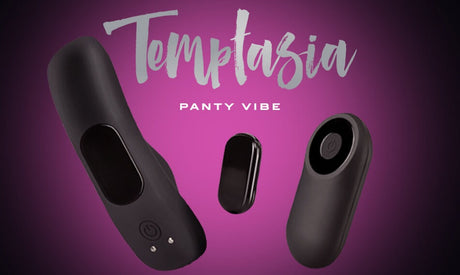 remote control panty vibe