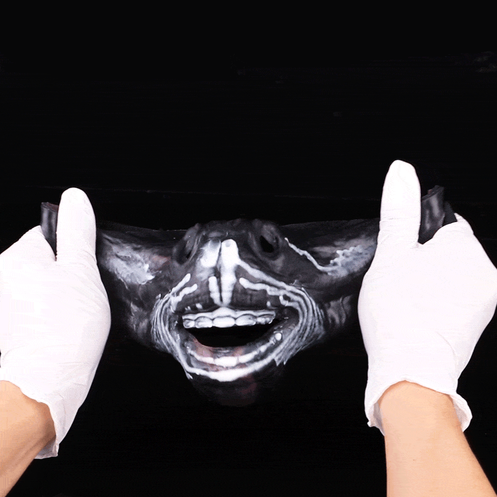 Skull Fantasy Strap On BDSM Masks Adjustable Silicone Sex Toys