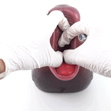 Cute Deer Realistic Anime Pocket Pussy - Male Blowjob Animal Penis Massage Oral Sex Masturbator