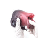 Cute Deer Realistic Anime Pocket Pussy - Male Blowjob Animal Penis Massage Oral Sex Masturbator