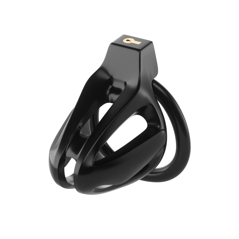 Dragon lock Men's Chastity lock Male Penis Cage with 4 rings