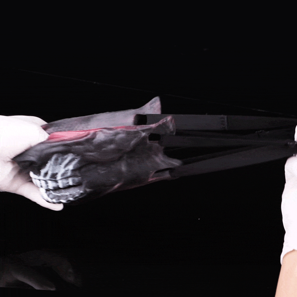 Strap On Fantasy Silicone BDSM Masks Couples Sex Roleplay and Teasing Toys