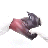 Cute Deer Realistic Anime Pocket Pussy - Male Blowjob Animal Penis Massage Oral Sex Masturbator