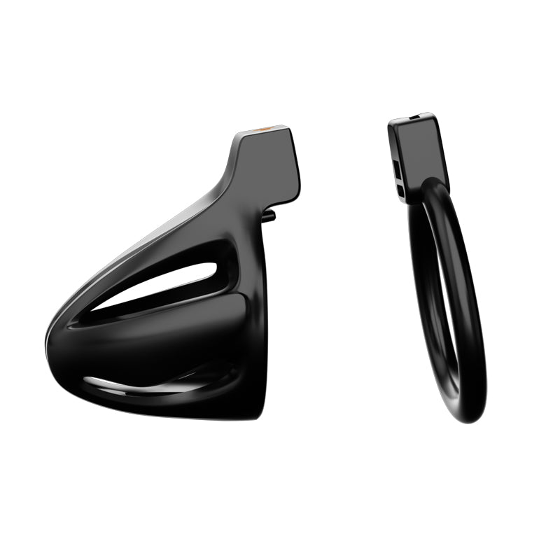 Dragon lock Men's Chastity lock Male Penis Cage with 4 rings