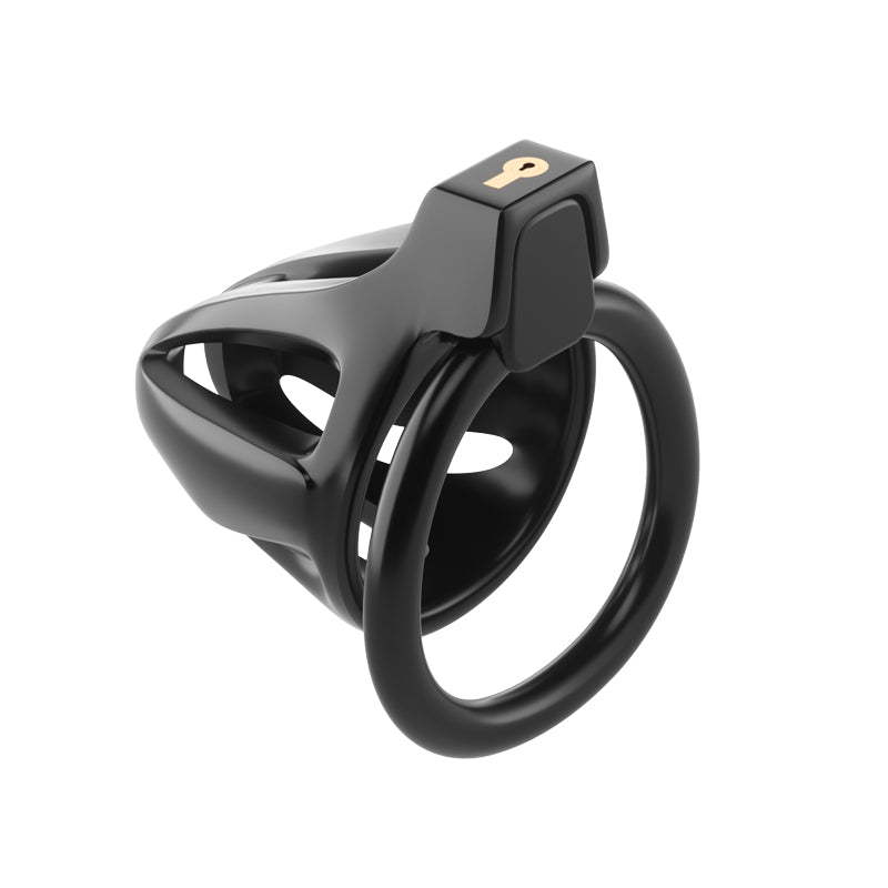 Dragon lock Men's Chastity lock Male Penis Cage with 4 rings