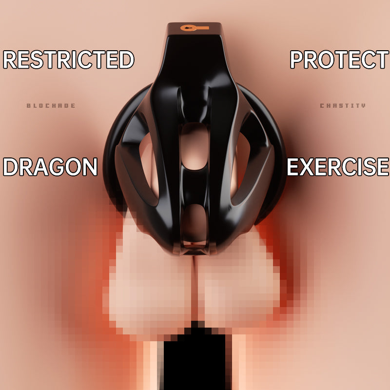 Dragon lock Men's Chastity lock Male Penis Cage with 4 rings
