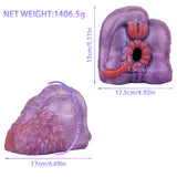 Fantasy Demon dragon Butt Ass Pocket Pussy Male Penis Insertion Masturbator