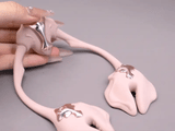 UPKO UEROS Vibrating Nipple Clamps